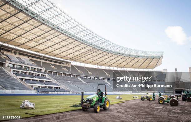 Workers put new grass on the pitch in the Olympiastadion on February 21, 2017 in Berlin, Germany.