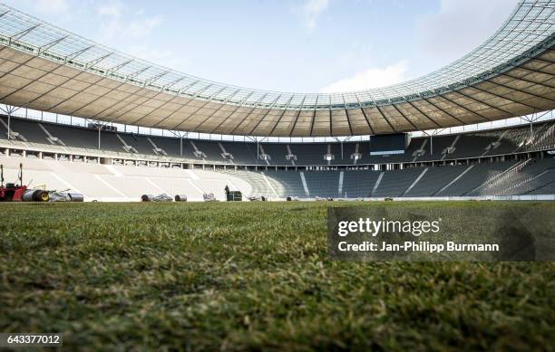 New grass on the pitch in the Olympiastadion on February 21, 2017 in Berlin, Germany.