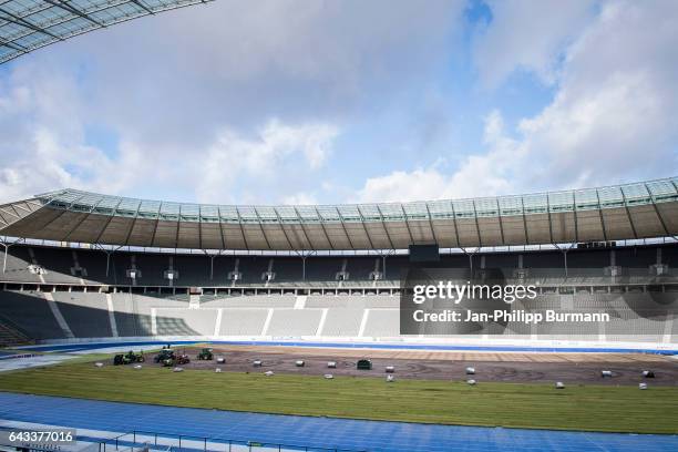 Workers put new grass on the pitch in the Olympiastadion on February 21, 2017 in Berlin, Germany.