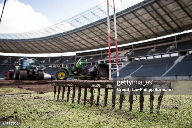 Rake on the old grass on the pitch in the Olympiastadion on February 21, 2017 in Berlin, Germany.