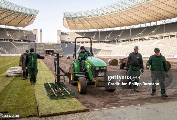 Workers put new grass on the pitch in the Olympiastadion on February 21, 2017 in Berlin, Germany.