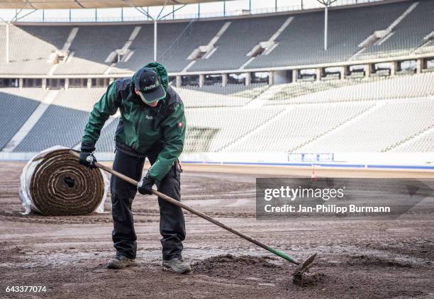 Workers put new grass on the pitch in the Olympiastadion on February 21, 2017 in Berlin, Germany.