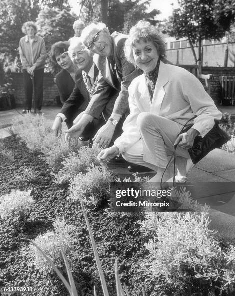 Actress Thelma Barlow who plays the dithering spinster Mavis Riley in ...