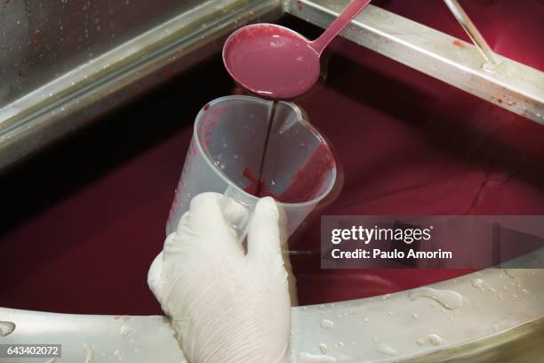 acai production in a acai fruit factory in brazil - acai berries stockfoto's en -beelden