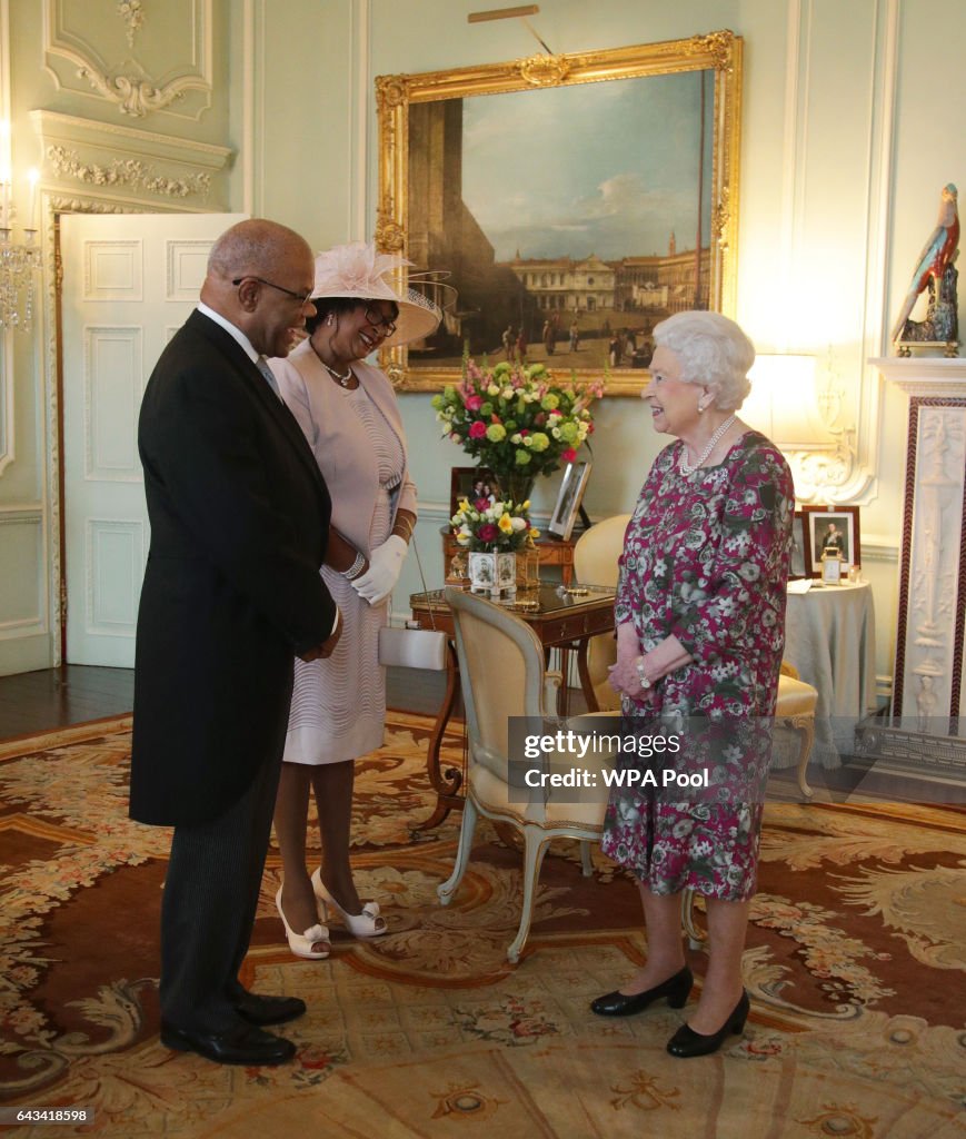 Audience with Queen Elizabeth II at Buckingham Palace