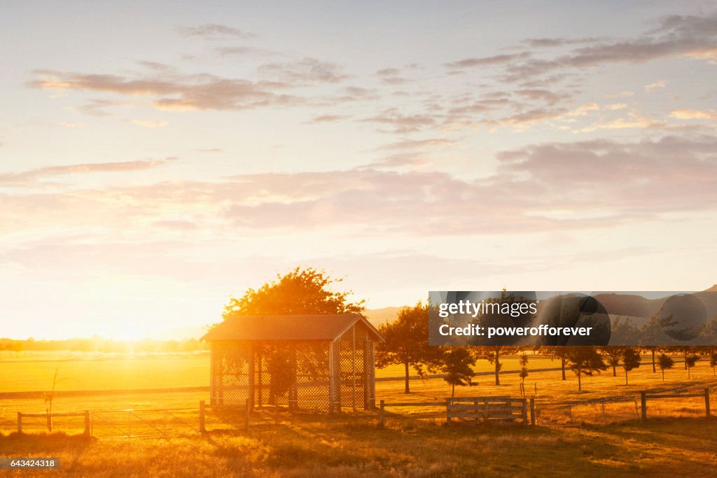 Sunrise Rural Landscape of New Zealand