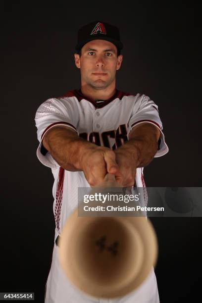 Paul Goldschmidt of the Arizona Diamondbacks poses for a portrait during photo day at Salt River Fields at Talking Stick on February 21, 2017 in...