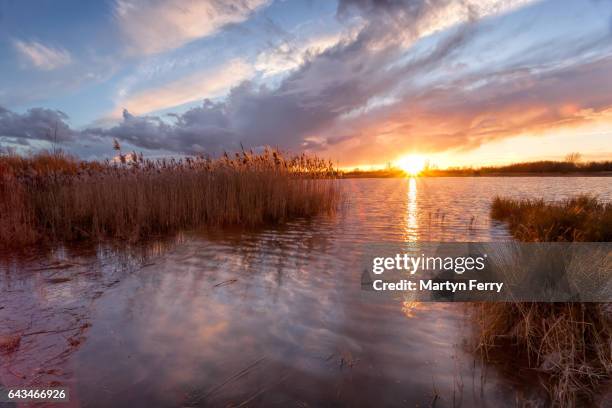 sunbeam on the lake, ouse fen nature reserve, cambridgeshire, east anglia uk - cambridgeshire fotograf�ías e imágenes de stock