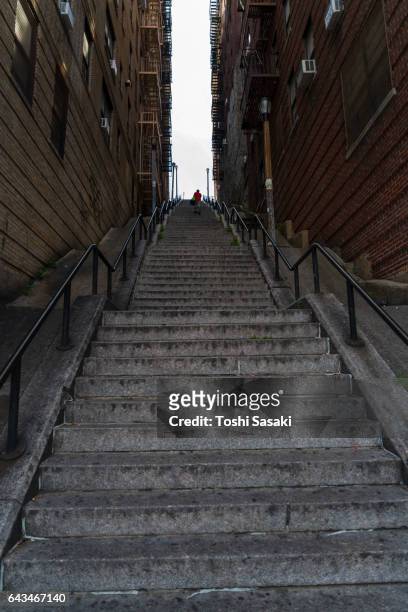 the long stairway goes through among the buildings at the bronx new york. - bronx stock-fotos und bilder
