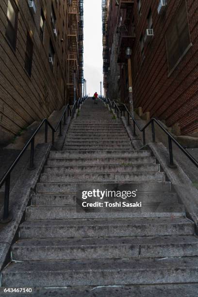 the long stairway goes through among the buildings at the bronx new york. - the bronx stockfoto's en -beelden