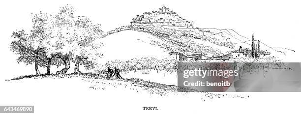trevi in italy - vineyard stock illustrations