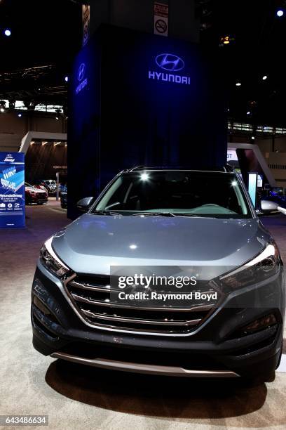 334 Hyundai Tucson Stock Photos, High-Res Pictures, and Images