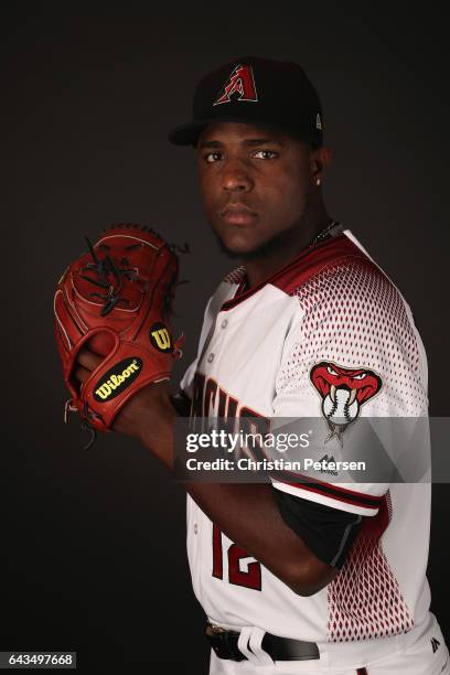 Pitcher Rubby De La Rosa of the Arizona Diamondbacks poses for a portrait during photo day at Salt River Fields at Talking Stick on February 21, 2017...