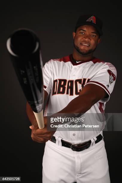 Socrates Brito of the Arizona Diamondbacks poses for a portrait during photo day at Salt River Fields at Talking Stick on February 21, 2017 in...
