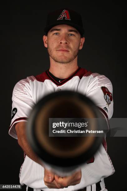 Chris Herrmann of the Arizona Diamondbacks poses for a portrait during photo day at Salt River Fields at Talking Stick on February 21, 2017 in...