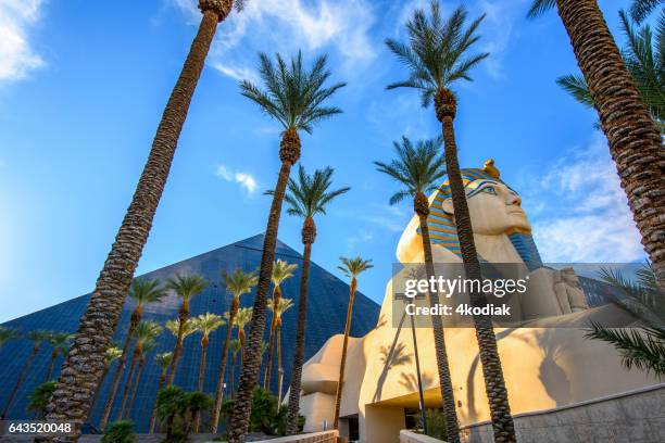 las vegas - luxor hotel stock pictures, royalty-free photos & images