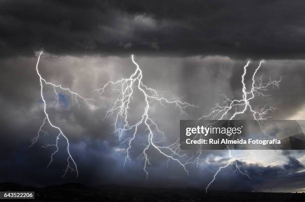 spectacular lightning show lights up - shivering shower stock pictures, royalty-free photos & images