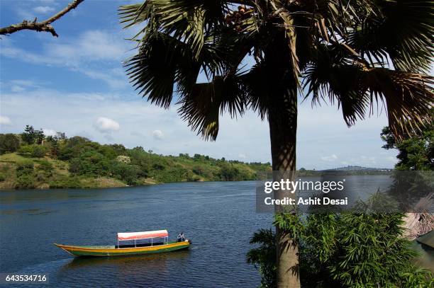 the source of the while nile river flowing from lake victoria in jinja, uganda. - lake victoria stock pictures, royalty-free photos & images