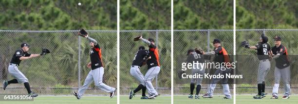 Sequence of photos show the Miami Marlins' Ichiro Suzuki and non-roster invitee Brandon Barnes having an outfield collision during practice at the...
