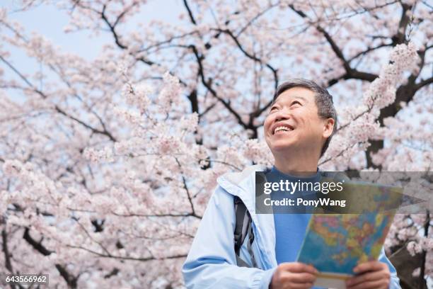 old man take a map - cherry blossoms bloom in tokyo stock pictures, royalty-free photos & images