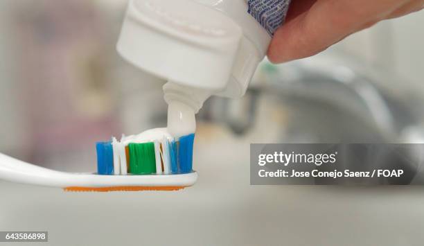 person squeezing toothpaste on toothbrush - conejo stock pictures, royalty-free photos & images