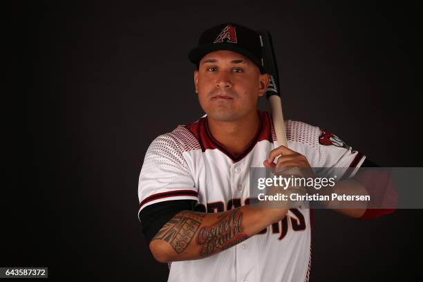 Oswaldo Arcia of the Arizona Diamondbacks poses for a portrait during photo day at Salt River Fields at Talking Stick on February 21, 2017 in...