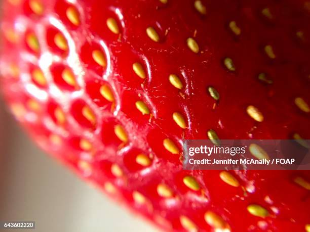 Strwberry Seed Pattern 357 Strawberry Seed Pattern Stock Photos, High-Res Pictures, and Images ...
