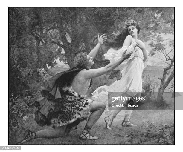 antike fotos von gemälden: apollo und daphne - göttin stock-grafiken, -clipart, -cartoons und -symbole