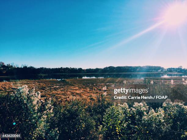 sunlight over compo beach - westport connecticut stock pictures, royalty-free photos & images