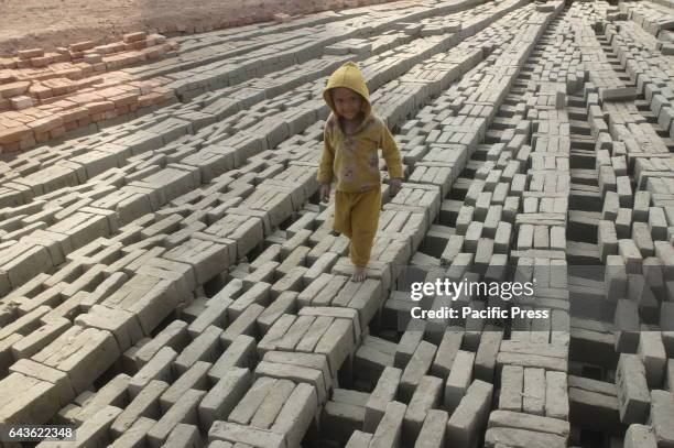 Child working in the brickfield near Postagola. Most of the child laborers do not go to school and most of them were diagnosed with the health...