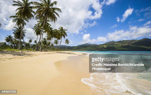 samana peninsula, view of playa (beach) rincon - beach stock pictures, royalty-free photos & images