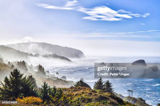 california coastal road 101 near redwood national park,california - redwood national park imagens e fotografias de stock