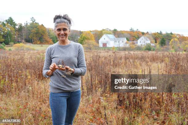 autumn pleasures - brunswick maine stock pictures, royalty-free photos & images