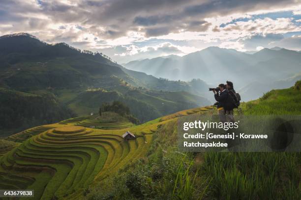 A young camera man taking a photo at the rice field in the sunlight