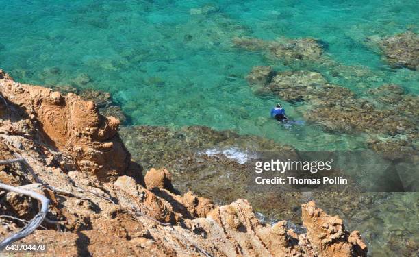 snorkeling in the turquoise bay of les saintes - paradisiaque foto e immagini stock