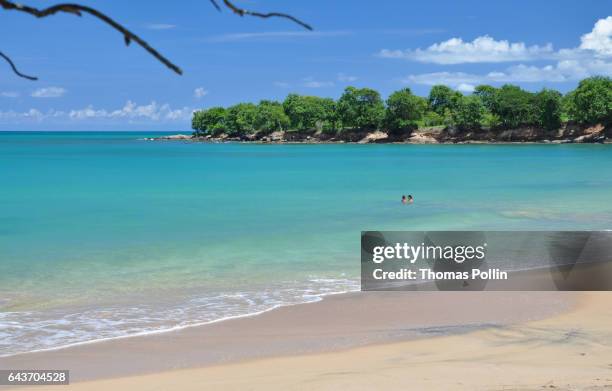 lover's turquoise bay - romantisme imagens e fotografias de stock