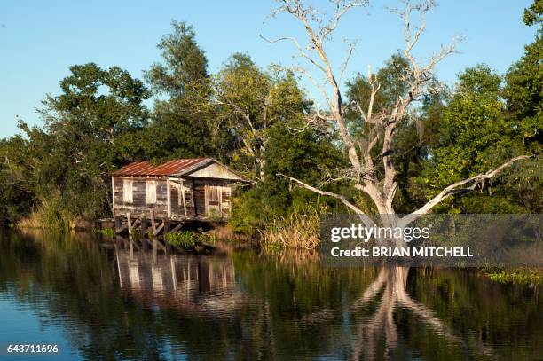 deserted river house, bayou black, louisiana - louisiana home stock pictures, royalty-free photos & images