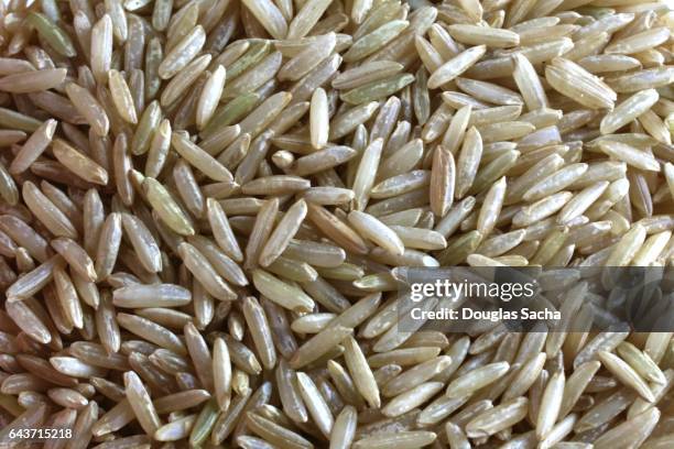 full frame of uncooked rice (pandanus amaryllifolius) - basmati rice stock-fotos und bilder