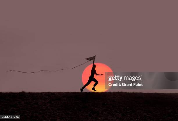 boy with kite. - kite flying stock pictures, royalty-free photos & images