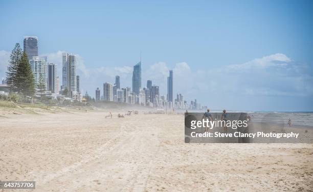 a walk along the beach - gold coast australia stockfoto's en -beelden