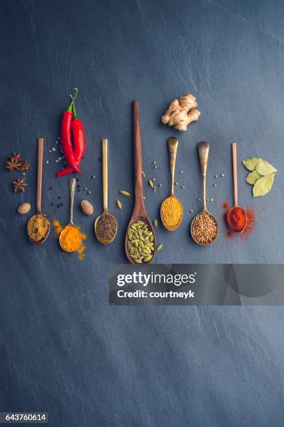 variety of herbs and spices on slate background. - mostarda tempero imagens e fotografias de stock