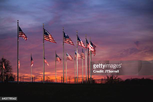 american flags - washington dc sunset stock pictures, royalty-free photos & images