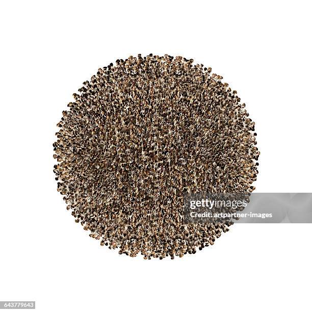 sphere sphere crowded with people - creative crowd imagens e fotografias de stock