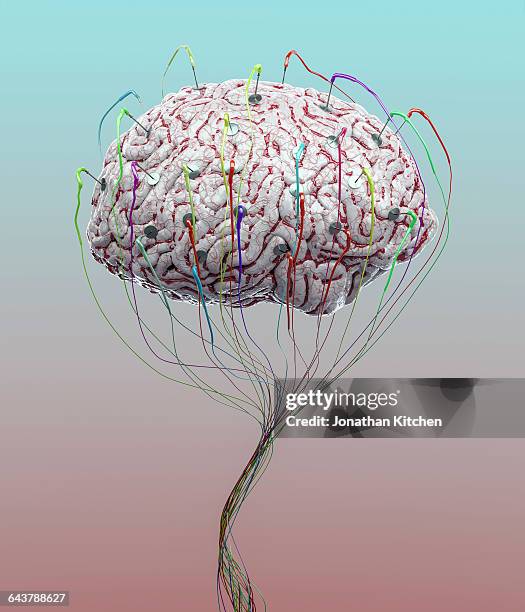 human brain being tested - brain graphics stock-fotos und bilder