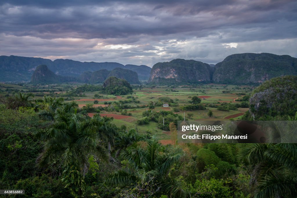 Landscape of Viñales