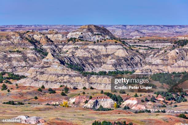 theodore roosevelt national park,north dakota,usa - north dakota stock pictures, royalty-free photos & images