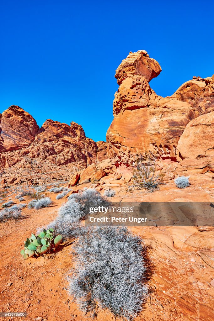 Valley of Fire State Park,Nevada,USA