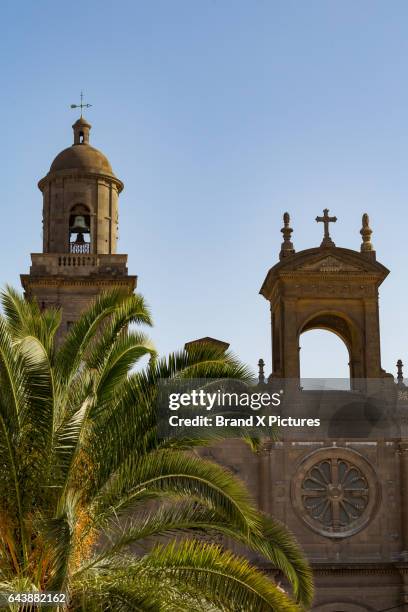 cathedral of las palmas de gran canaria - las palmas cathedral stock pictures, royalty-free photos & images
