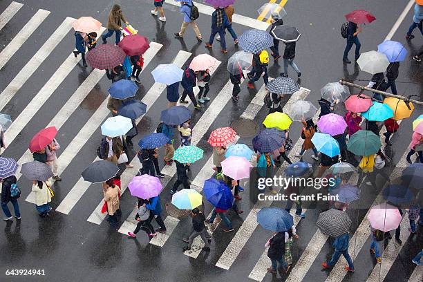 umbrellas. - ombrello foto e immagini stock