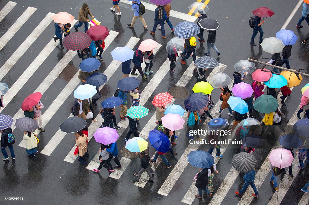 Umbrellas.
